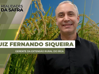 site-Luiz-Fernando