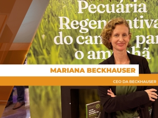 site Mariana Beckhauser