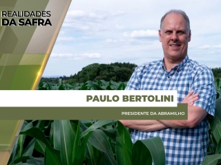 site Paulo