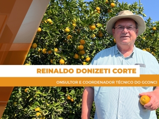 site Reinaldo