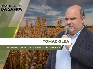 site Tomaz