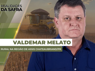 site-Valdemar-Melato-13-01