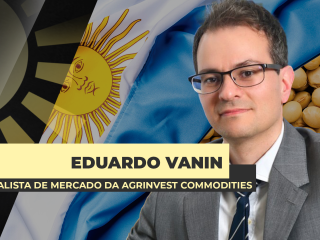 site-Vanin-27-01