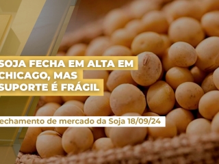 SOJA-18