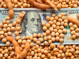 soja e dollar