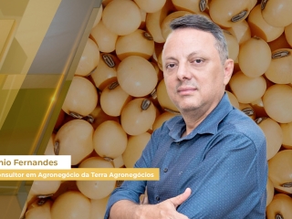 Soja e Milho site
