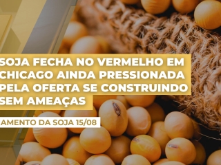 soja