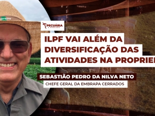 swbastiao