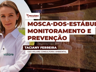 TACIANY