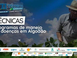 TÉCNICAS-ALGODÃO
