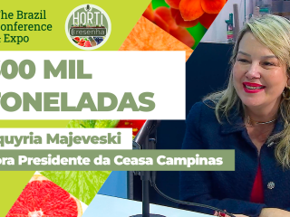 The conference Horti resenha Valkiria