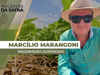thum marcilio - please