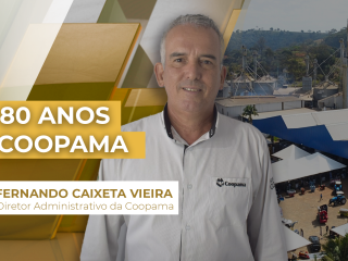 THUMB_AMARELO-DOURADO_2024_comercial_coopama