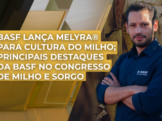 THUMB_AMARELO-DOURADO_BASF-0310