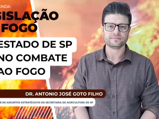 thumb Antonio Goto