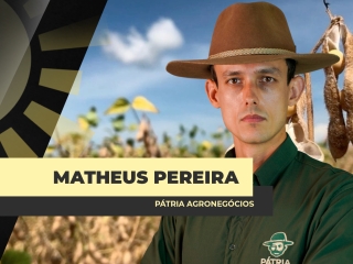 THUMB_BDA_Matheus Pereira