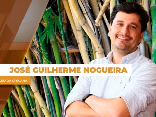 THUMB - José Guilherme Nogueira ST - DIA 25