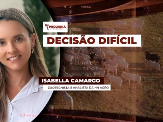 THUMB PECUÁRIA & MERCADO