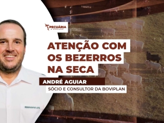 THUMB PECUÁRIA & MERCADO ANDRE AGUIAR