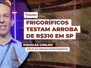 THUMB PECUÁRIA & MERCADO - DOUGLAS COELHO - MERCADO DO DIA 02-05