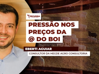 THUMB PECUÁRIA & MERCADO Eberti Aguiar