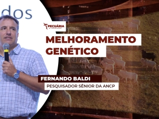 THUMB PECUÁRIA & MERCADO fernando baldi