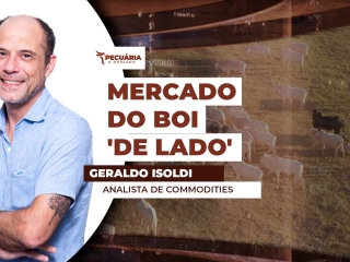 THUMB PECUÁRIA & MERCADO Geraldo Isoldi - Analista de Commodities