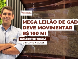 THUMB PECUÁRIA & MERCADO Guilherme Tonhá - Dir. Comercial EBL
