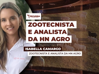 THUMB - PECUÁRIA & MERCADO - ISABELLA