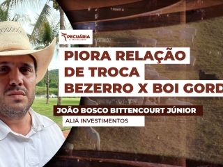 THUMB PECUÁRIA & MERCADO - João Bosco Bittencourt Júnior