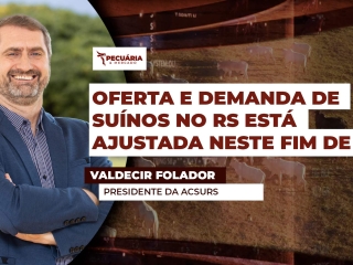 THUMB PECUÁRIA & MERCADO Valdecir faldor