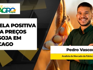 THUMB - PEDRO VASCONCELOS - BDA - 13-08.jpg (1)