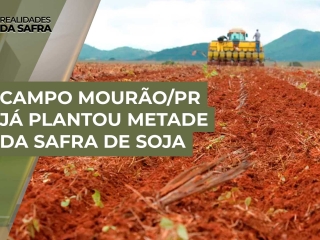 THUMB-PLANTIO-DE-SOJA