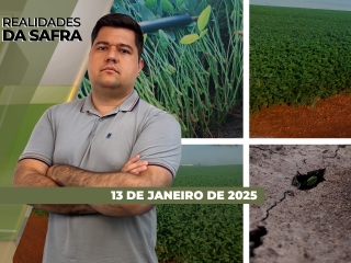 THUMB_RDS_13.01 yt e site