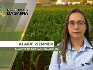 THUMB_REALIDADES_2025_Alaide Ziemmer Site