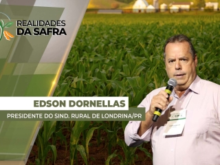 THUMB_REALIDADES_2025_ EDSON SITE