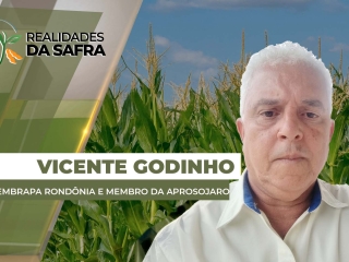 THUMB_REALIDADES_2025_Vicente Site
