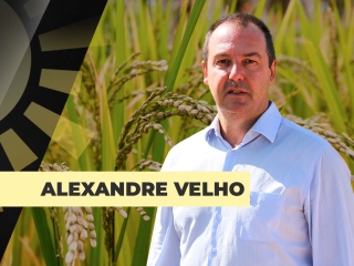 THUMB-SITE-ALEXANDRE-VELHO