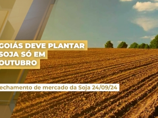 thumb-soja-goiás