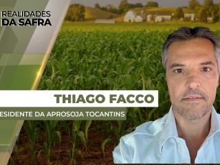 thumb thiago facco site 24-04