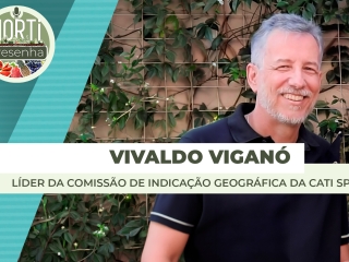 THUMB - VIVALDO VIGANO ST