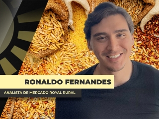 THUMBS - SITE - BDA - eduardo fernandes@0,75x