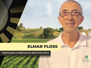 THUMBS - SITE - BDA - elmar@0,75x