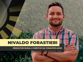 THUMBS - SITE - BDA - NIVALDO