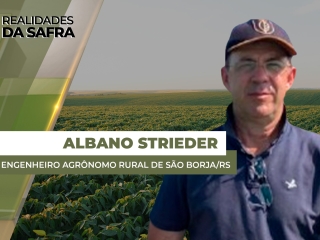THUMBS - SITE - RLD - albano