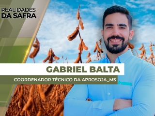 THUMBS - SITE - RLD - BALTA