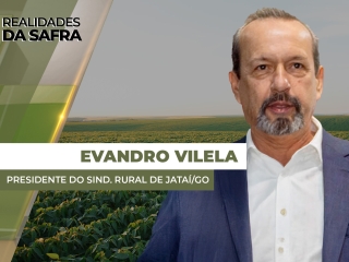 THUMBS - SITE - RLD - EVANDRO1