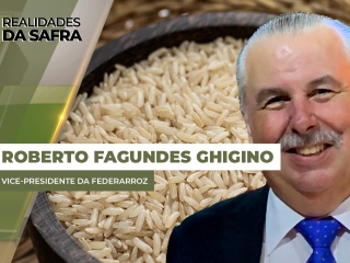 THUMBS - SITE - RLD - fagundes