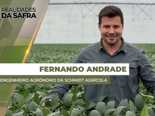 THUMBS - SITE - RLD - FERNANDO