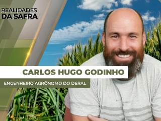 THUMBS - SITE - RLD - HUGO